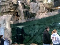 photos 2000-200901480